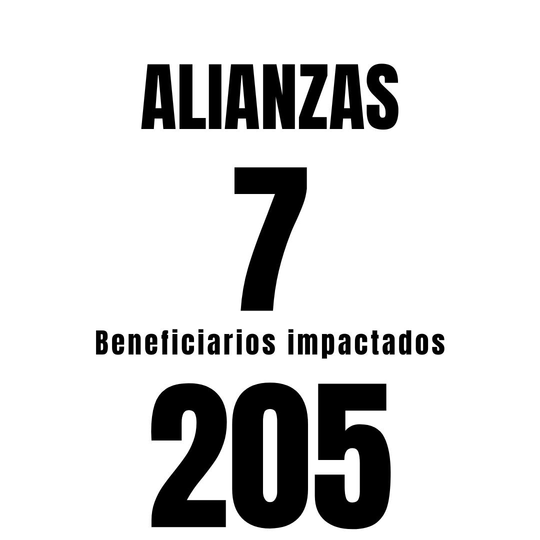 3 Alianzas